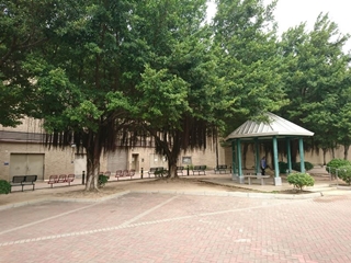 Lai Chi Kok Park Stage I official photo