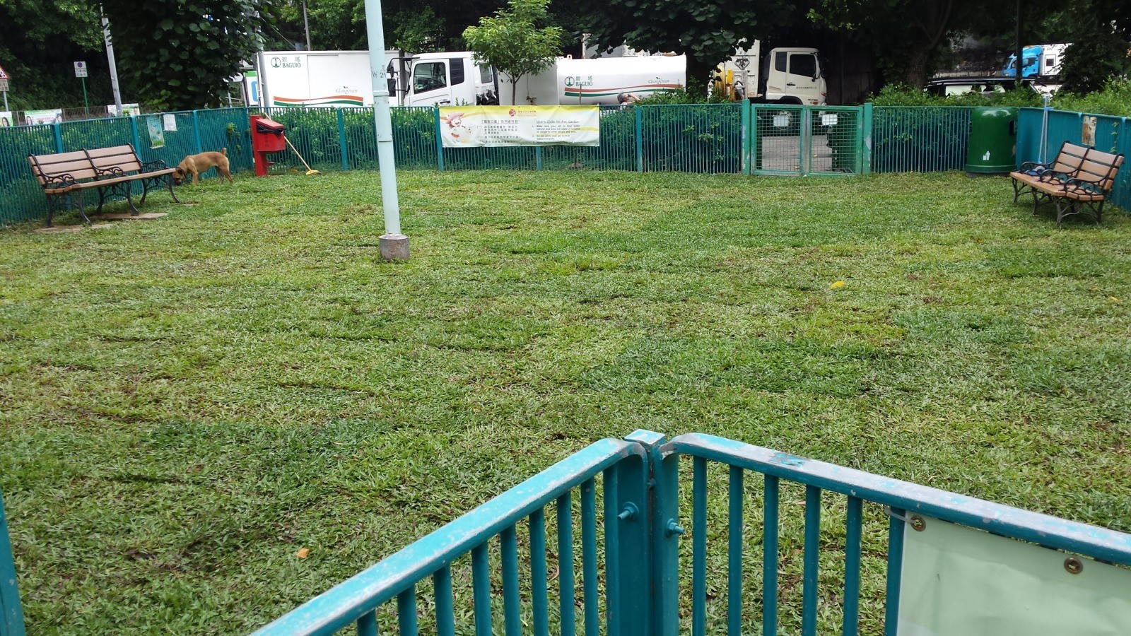 加多近街花園 官方相片
